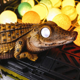 Creative Surprise Gift with Solar Garden Lights Creative Surprise Gift with Solar Garden Lights