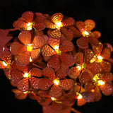 Solar Garden Decoration Garden LED Lights Solar Garden Decoration Garden LED Lights