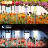 6 Pack Outdoor Solar Landscape Lights Perfectly Suited For Ambient Lighting In Outdoor Spaces, Courtyards, Corridors, Gardens, And Backyards 6 Pack Outdoor Solar Landscape Lights Perfectly Suited For Ambient Lighting In Outdoor Spaces, Courtyards, Corridors, Gardens, And Backyards